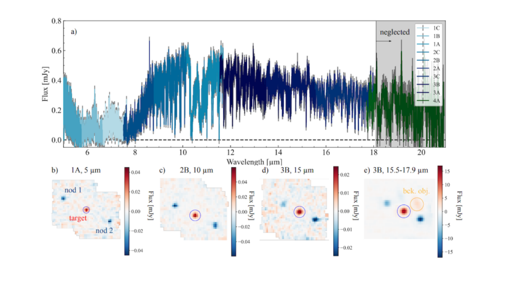 Oxygen And Nitrogen Isotopologues On Cold COCONUTS-2b Observed With MIRI/MRS
