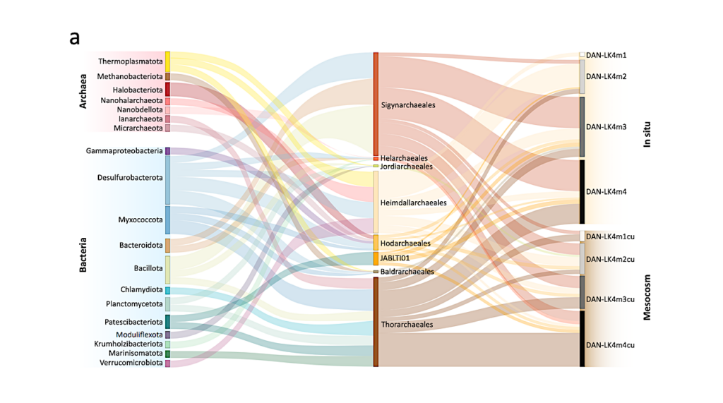 Redox distribution Of Asgard Archaea And Co-occurring Taxa In Microbial Mats From An Early Proterozoic Ecosystem Analog