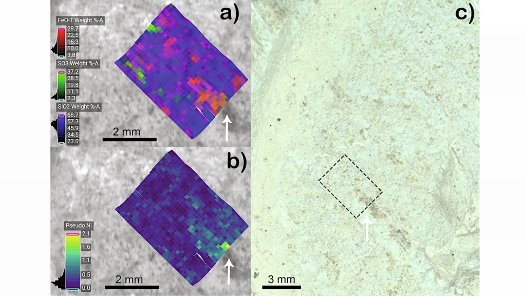 Strong Nickel Enrichment Co-located With Redox-organic Interactions In Neretva Vallis, Mars