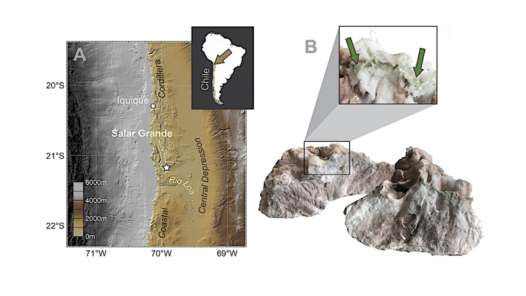 The Lipidome of a Mars Analog Poly-Extreme Community in Atacama Halite Endolith: Chemotaxonomy, Lipid Adaptation, and Implications for the Search for Extraplanetary Biosignatures