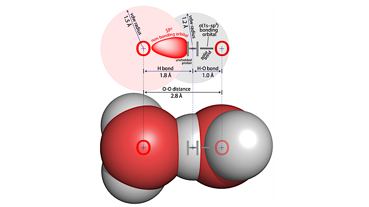 The Master Molecule That Built Biology: How Water Shaped The Chemistry Of Life