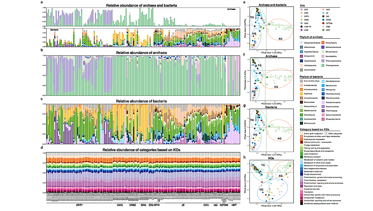 The Recovery Of 12,789 Genomes Revealed The Diversity, Function, And Microbial Interactions Of The Geothermal Spring Microbiome