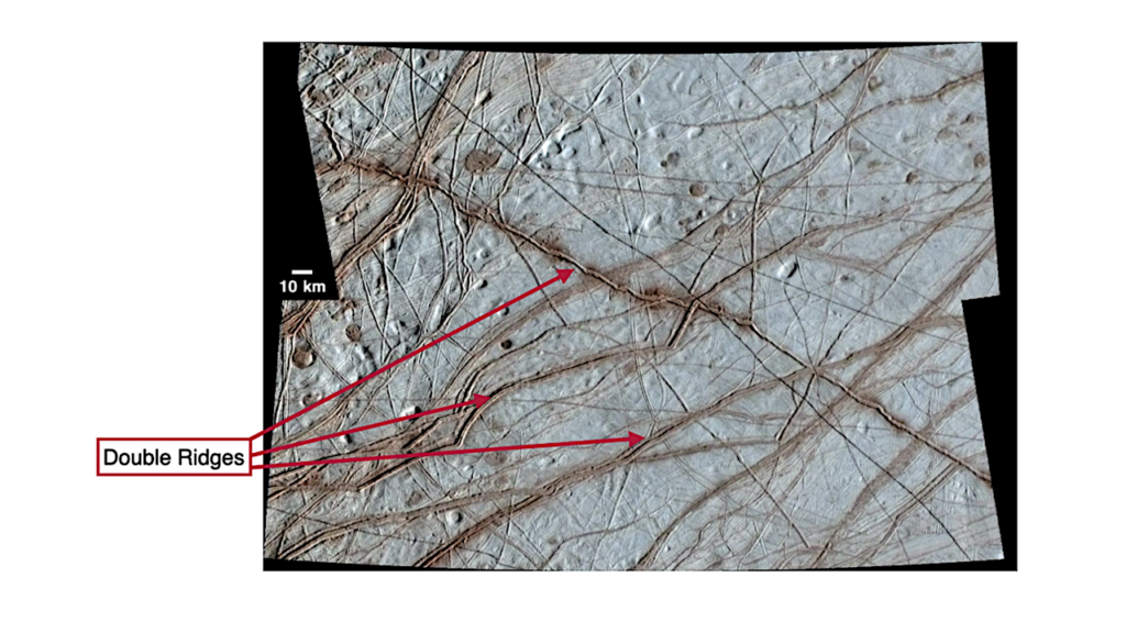 Thermal Segregation and Reddening in Europa’s Double Ridges
