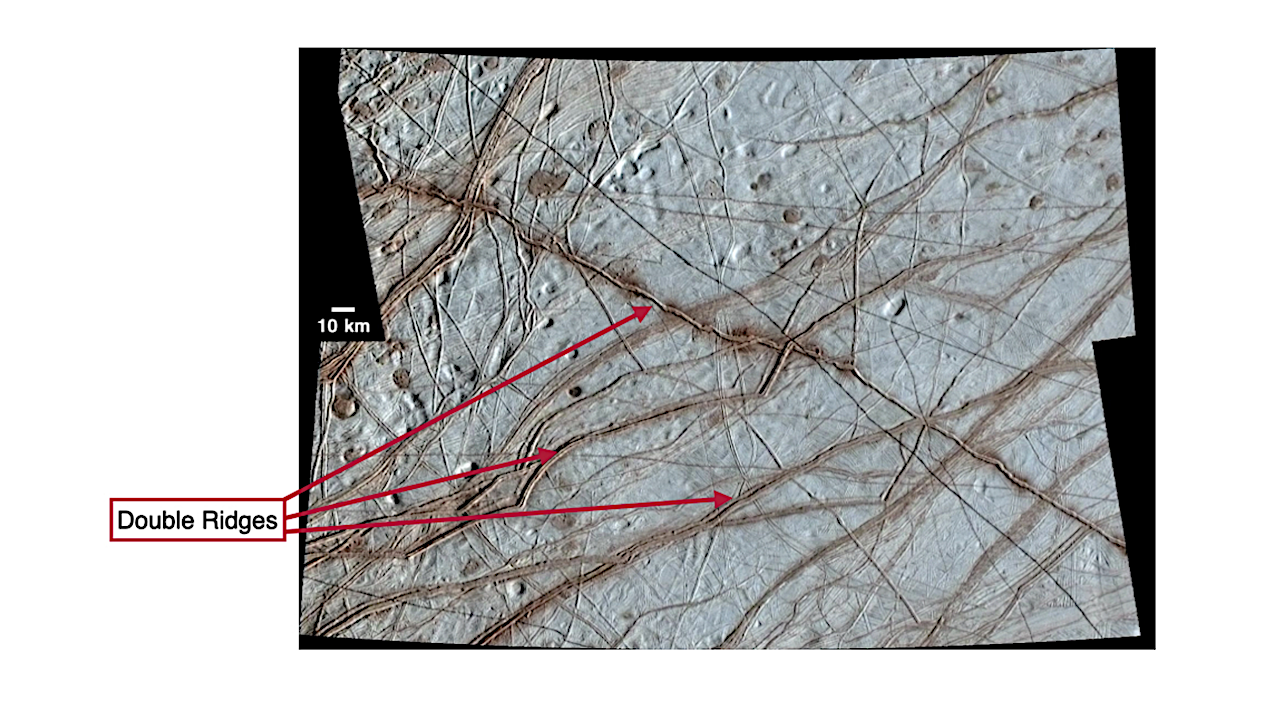 Thermal Segregation and Reddening in Europa’s Double Ridges