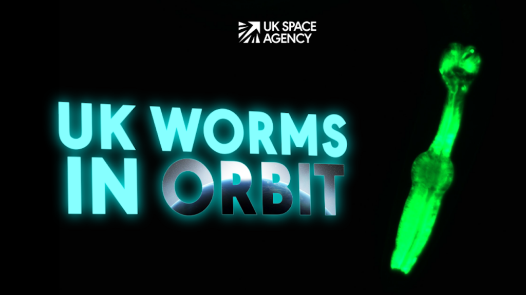 UK Scientists Launch C. elegans Nematode Worms To Support Future Moon Missions