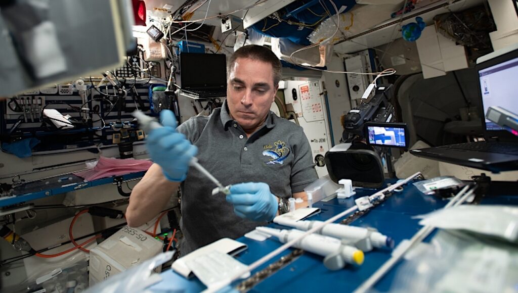 NASA Spaceline Current Awareness List #1,198  1 May 2026 (Space Life Science Research Results)