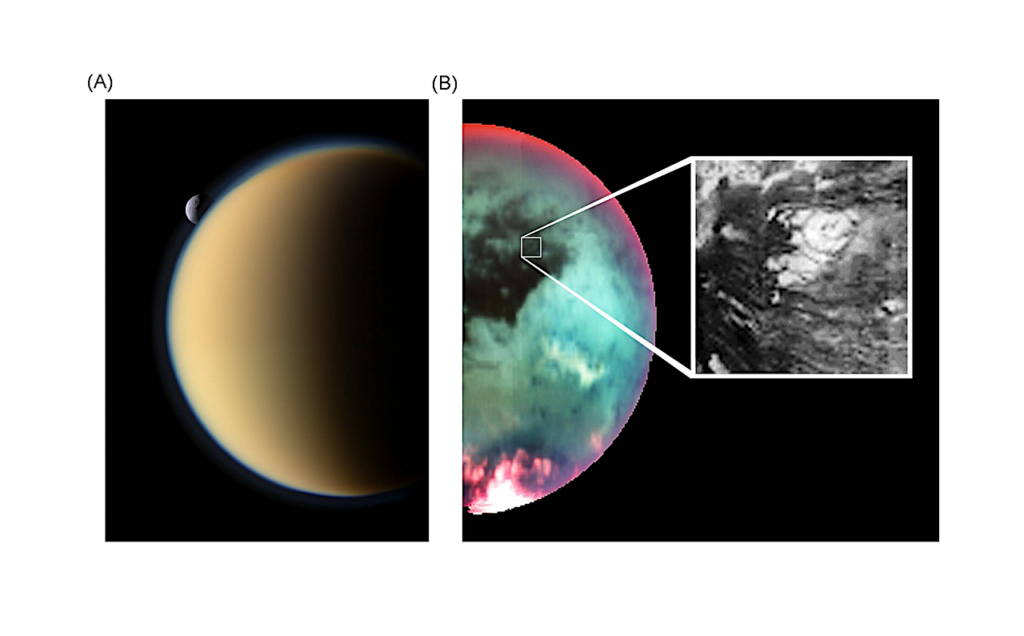Ammonia As A Parameter Shaping Habitability On Icy Moons