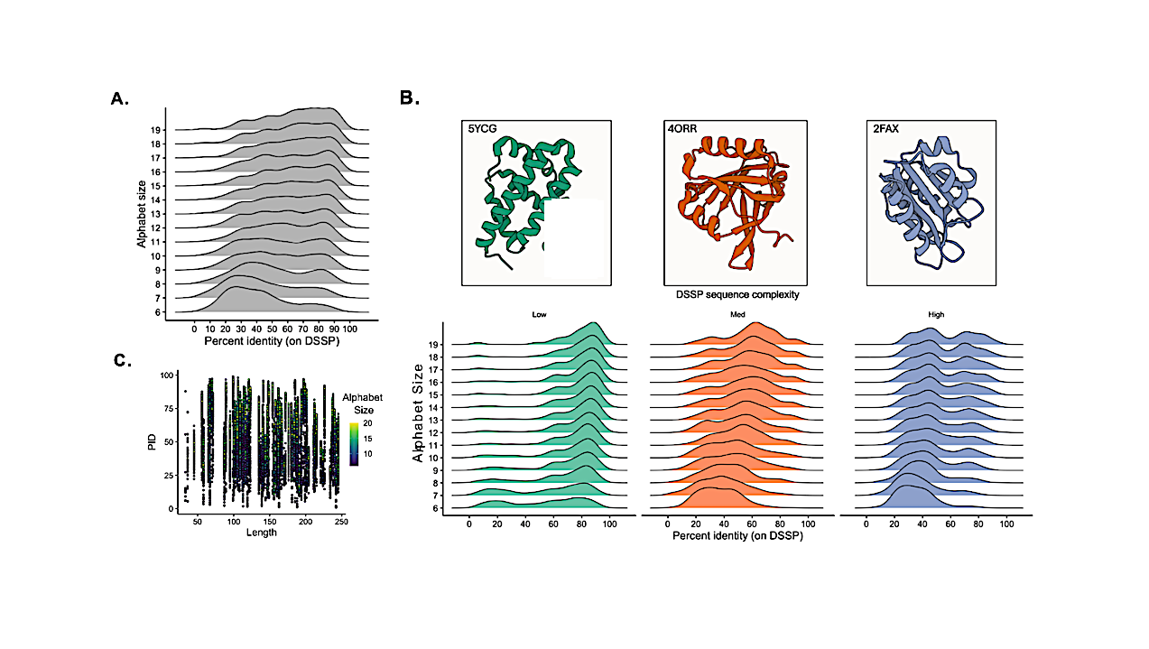 Artificial Intelligence Aided Design Of Peptides With Custom Secondary Structure Motifs And Reduced Amino Acid Alphabets