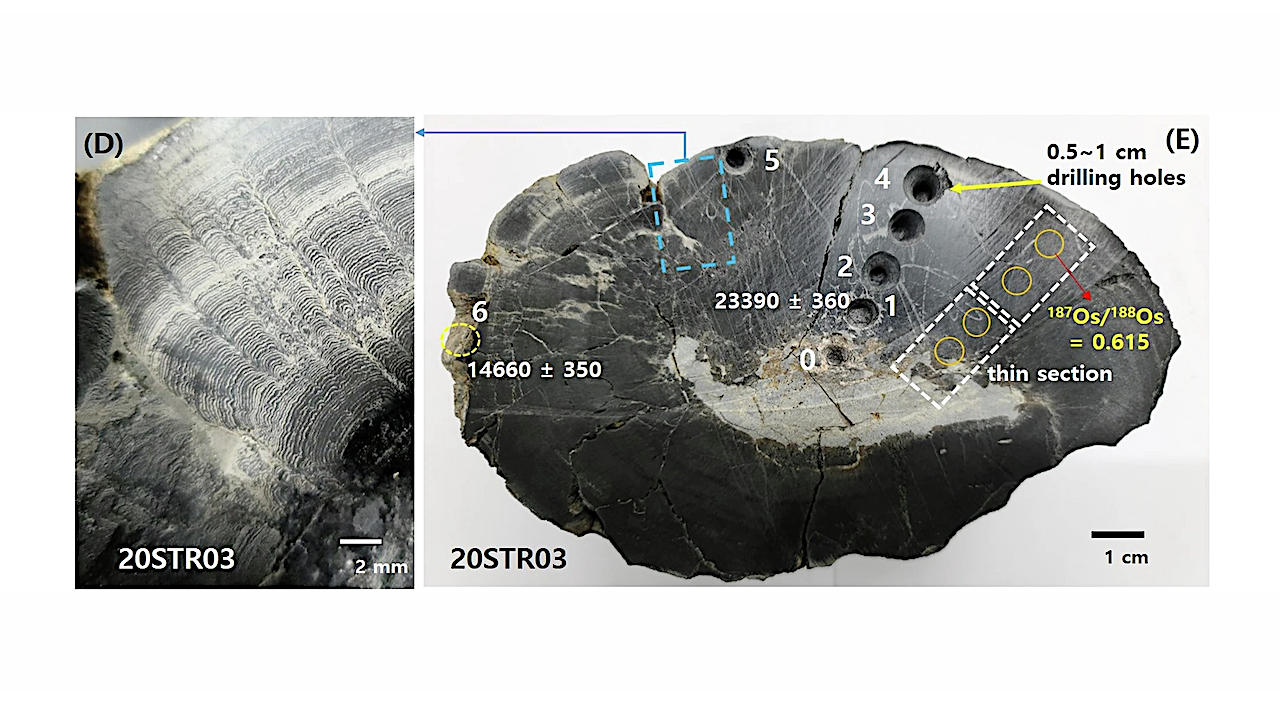 Asteroid Impact Site Reveals Possible Traces Of Early Life