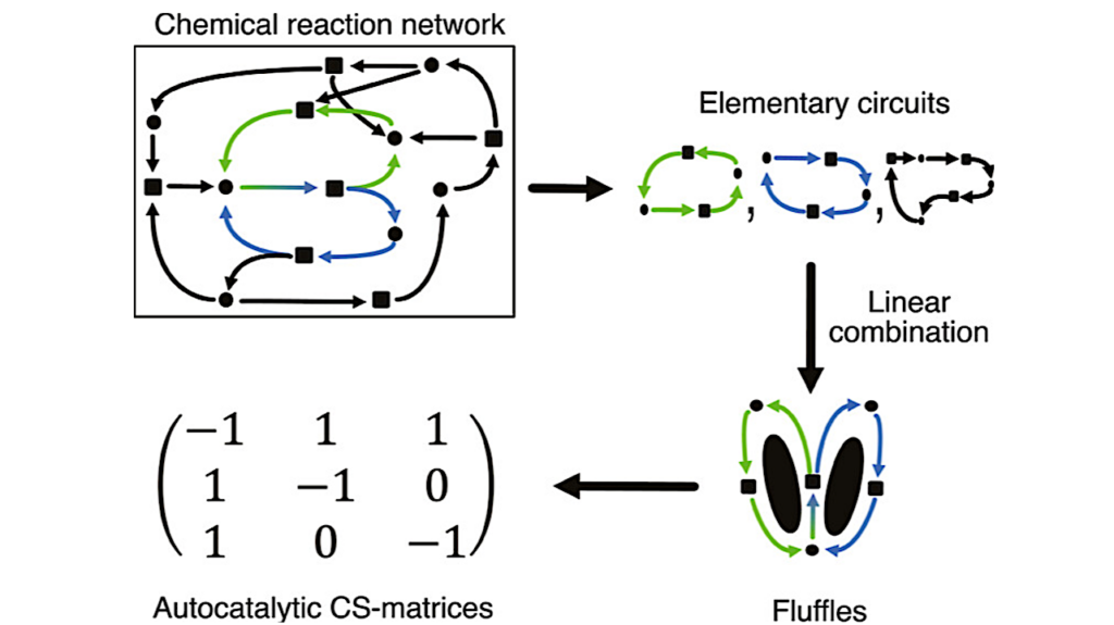 Enumeration Of Autocatalytic Subsystems In Large Chemical Reaction Networks