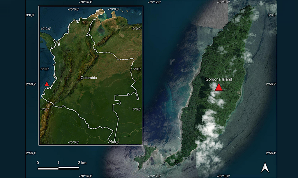 Gorgona Island (Colombia) As A Terrestrial Analog Of Syrtis Major (Mars): Evidence From Geochemical Meta-analyses And Compositional Figures Of Merit