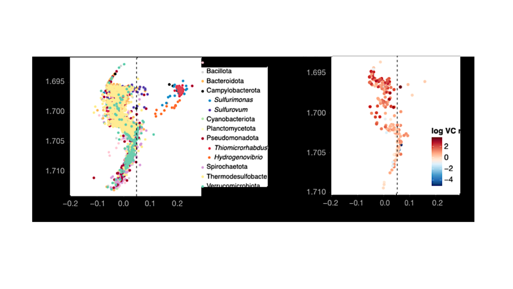 Hidden Viruses Reshape One Of Earth’s Largest Carbon Systems