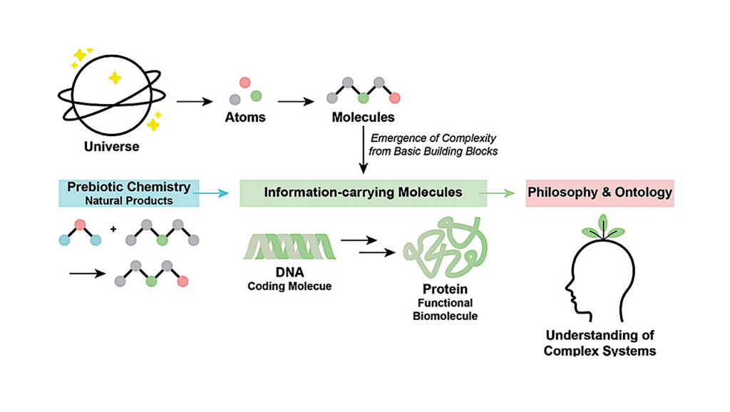 How Life Could Arise From Molecules