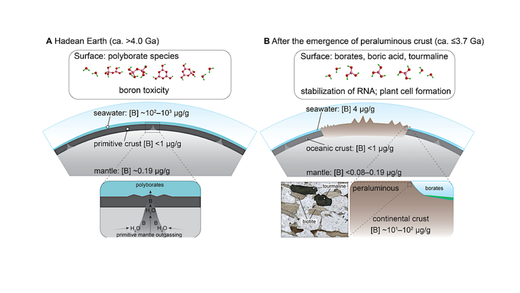 How The Rise Of Continents May Have Set The Stage For Life On Earth