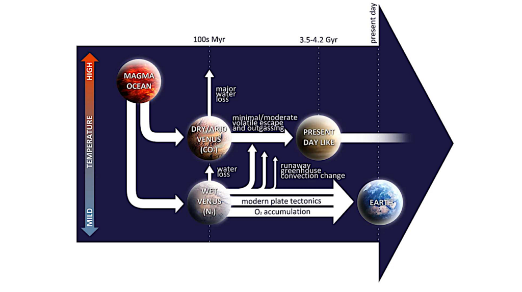 Seasonal Insolation Variability On Early Venus: Implications For Energy Budget