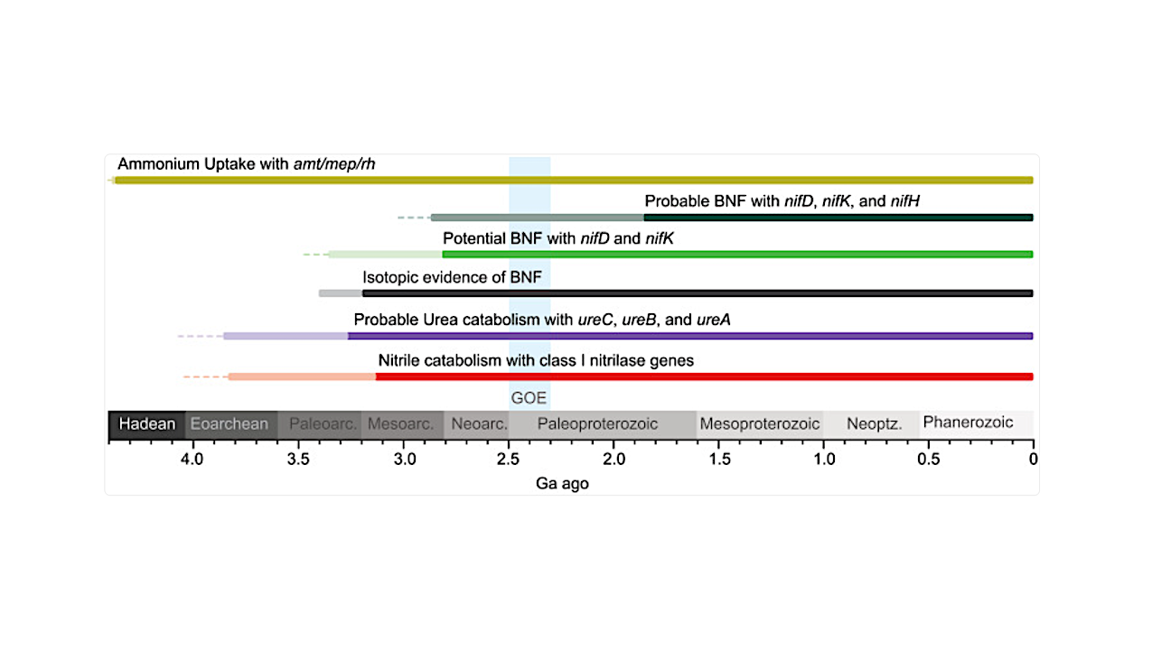 Abiotic Sources Of Fixed Nitrogen Sustained Early Ecosystems For Several Hundred Million Years After The Origin Of Life