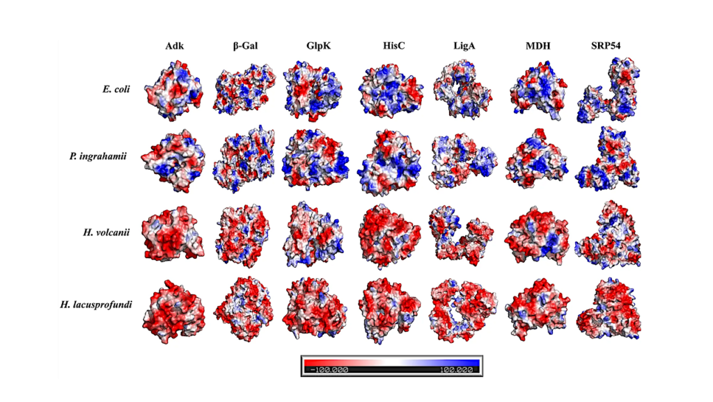 Coordinated Proteome-scale Remodeling Underlies Polyextremophilic Survival In Antarctic Cryo-hypersaline Brines