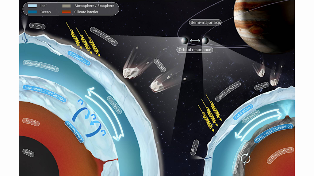 Dynamic Controls On Subsurface Water Chemistry And Habitability On Icy Moons