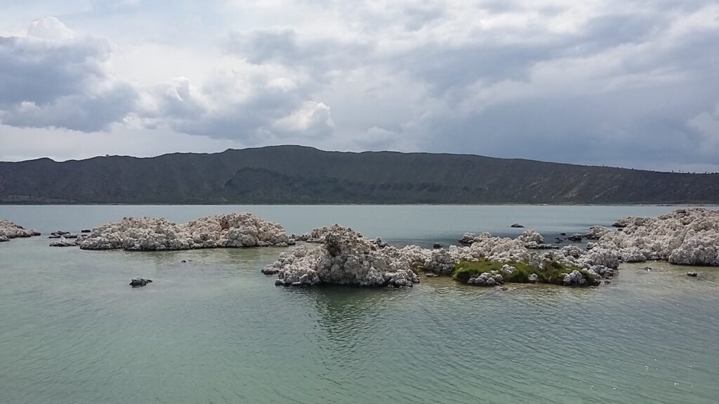 Lipid Biomarkers In Microbialites From A Maar Lake: An Astrobiological Study Of Biomarker Preservation under Mars Analog Conditions