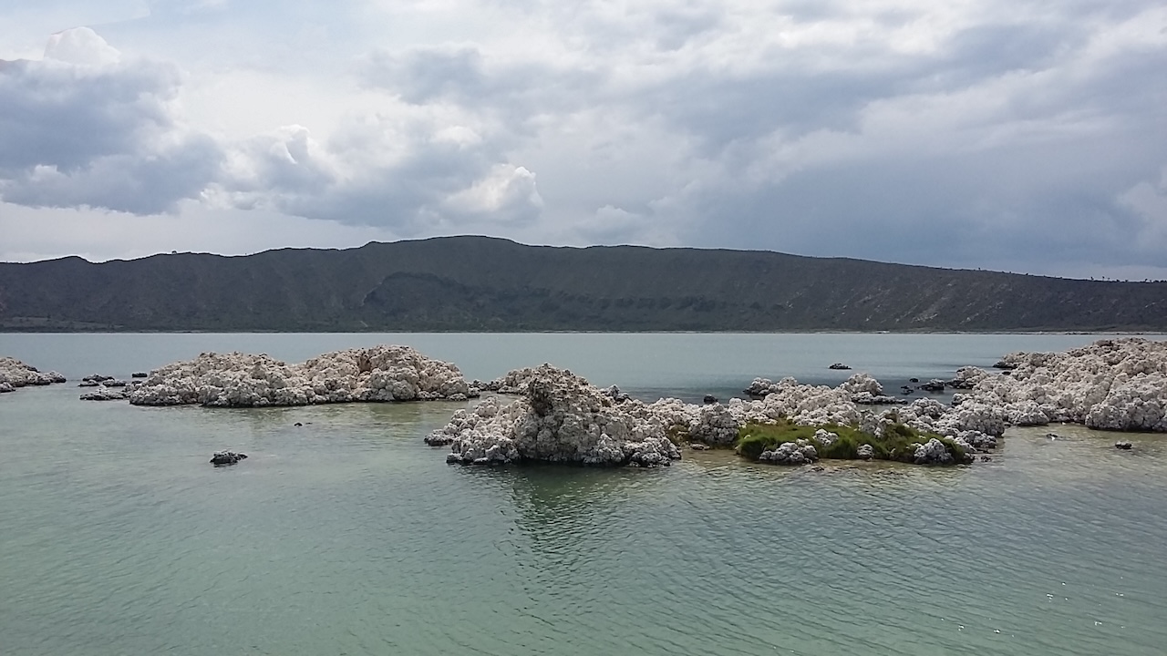 Lipid Biomarkers In Microbialites From A Maar Lake: An Astrobiological Study Of Biomarker Preservation under Mars Analog Conditions