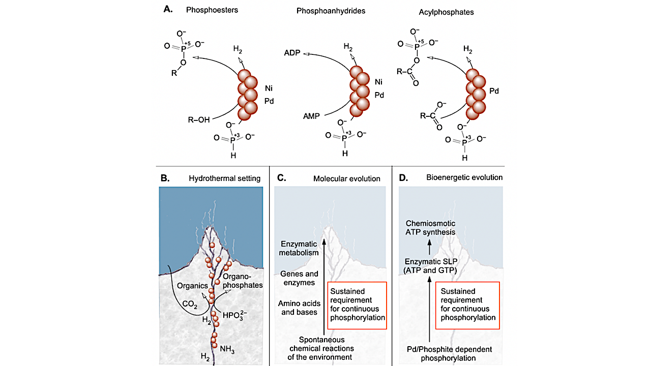 Metal-catalyzed Phosphorylation By Phosphite At The Origin Of Bioenergetics