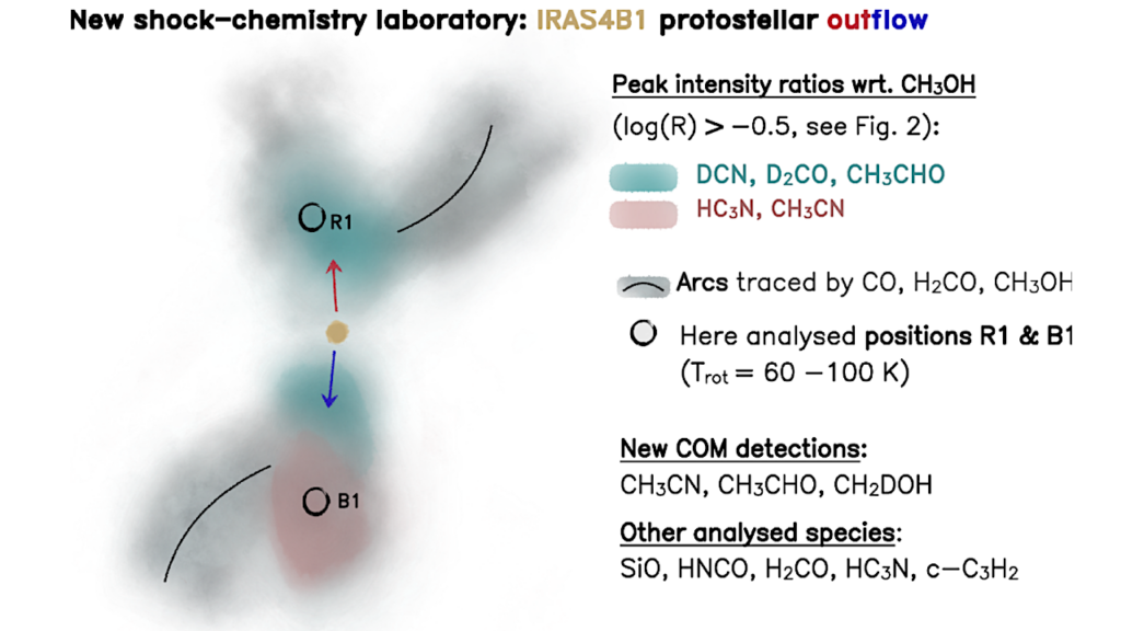 PRODIGE – Envelope To Disk With NOEMA VII. (Complex) Organic Molecules In The NGC1333 IRAS 4B1 Outflow: A New Laboratory For Shock Chemistry