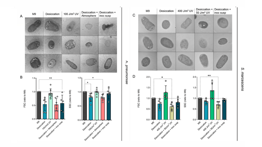 Pathogens Survive Conditions On Extraterrestrial Locations