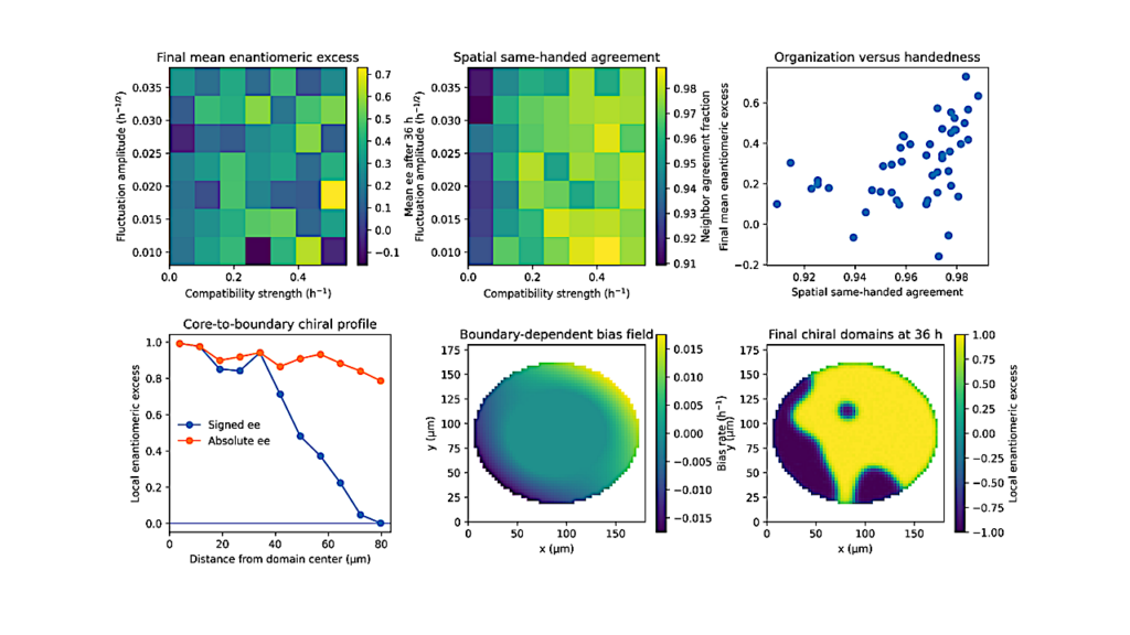 Spatial Confinement And Boundary Constraints Governing Biological Chirality: A Simulation Study