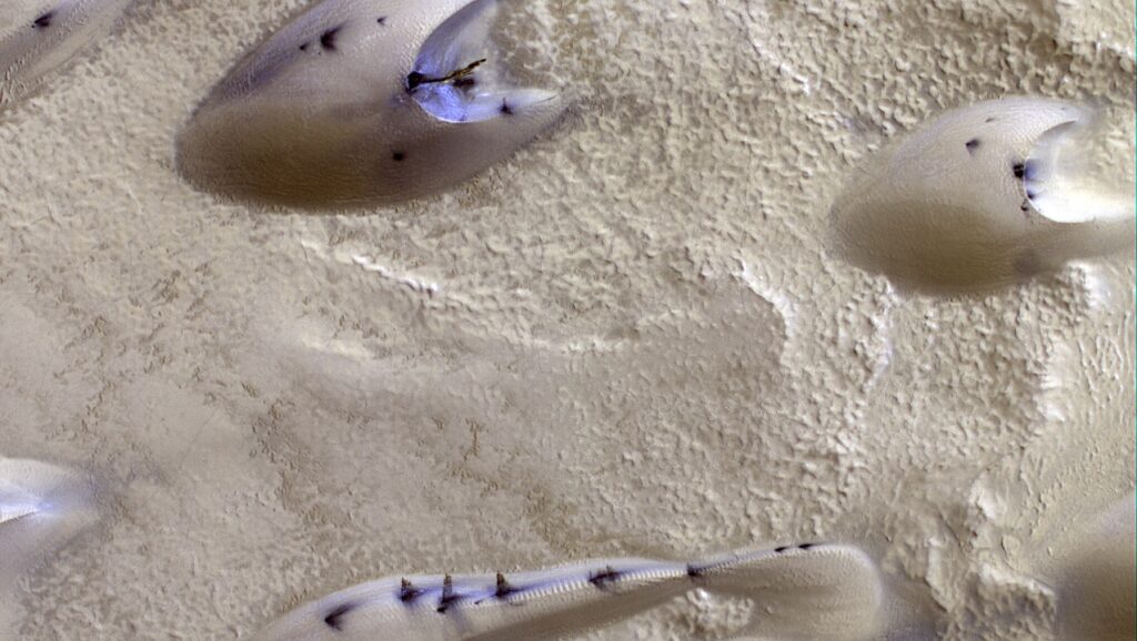 The Spring Awakening of Martian Polar Dunes