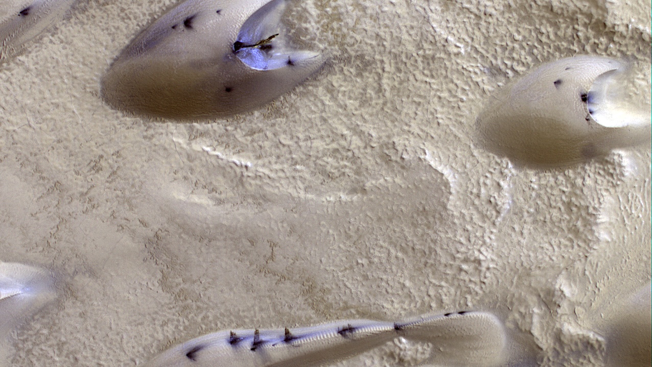 The Spring Awakening of Martian Polar Dunes