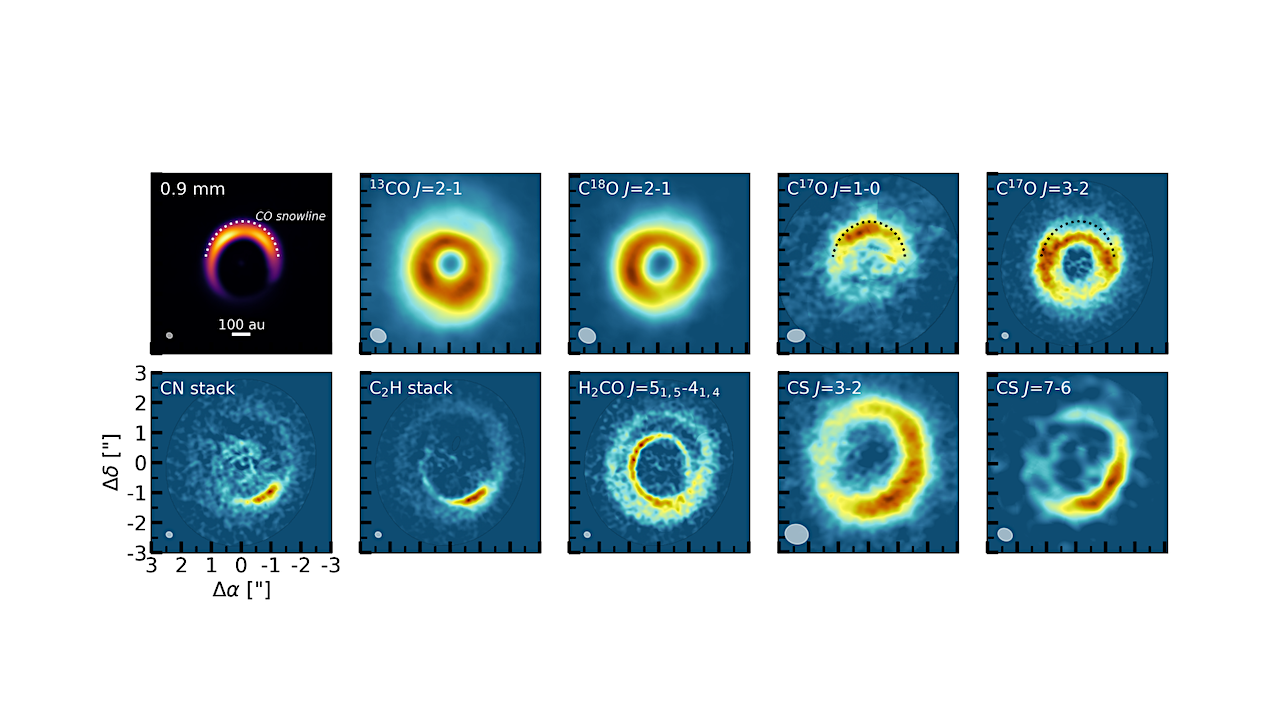 The Asymmetric Carbon-rich Chemistry 0f The planet-forming Disk 0f HD 142527 Triggered By Late Infall