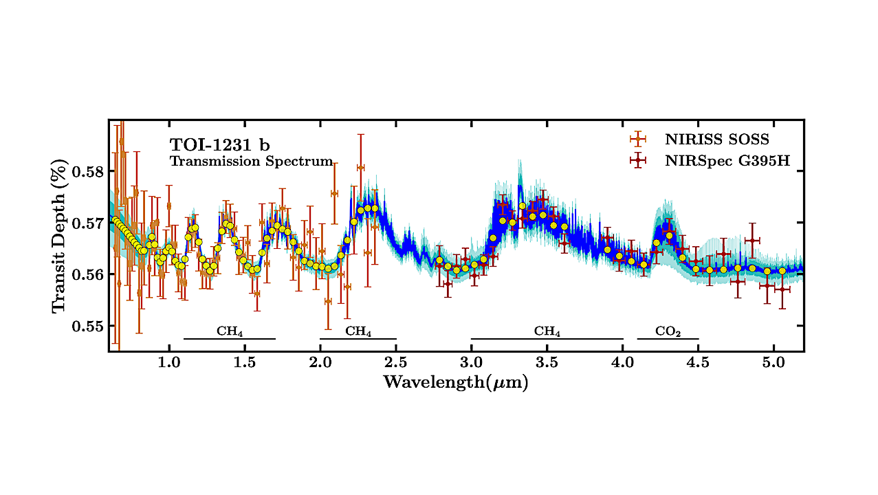 Transmission Spectrum of the Benchmark Temperate Exo-Neptune TOI