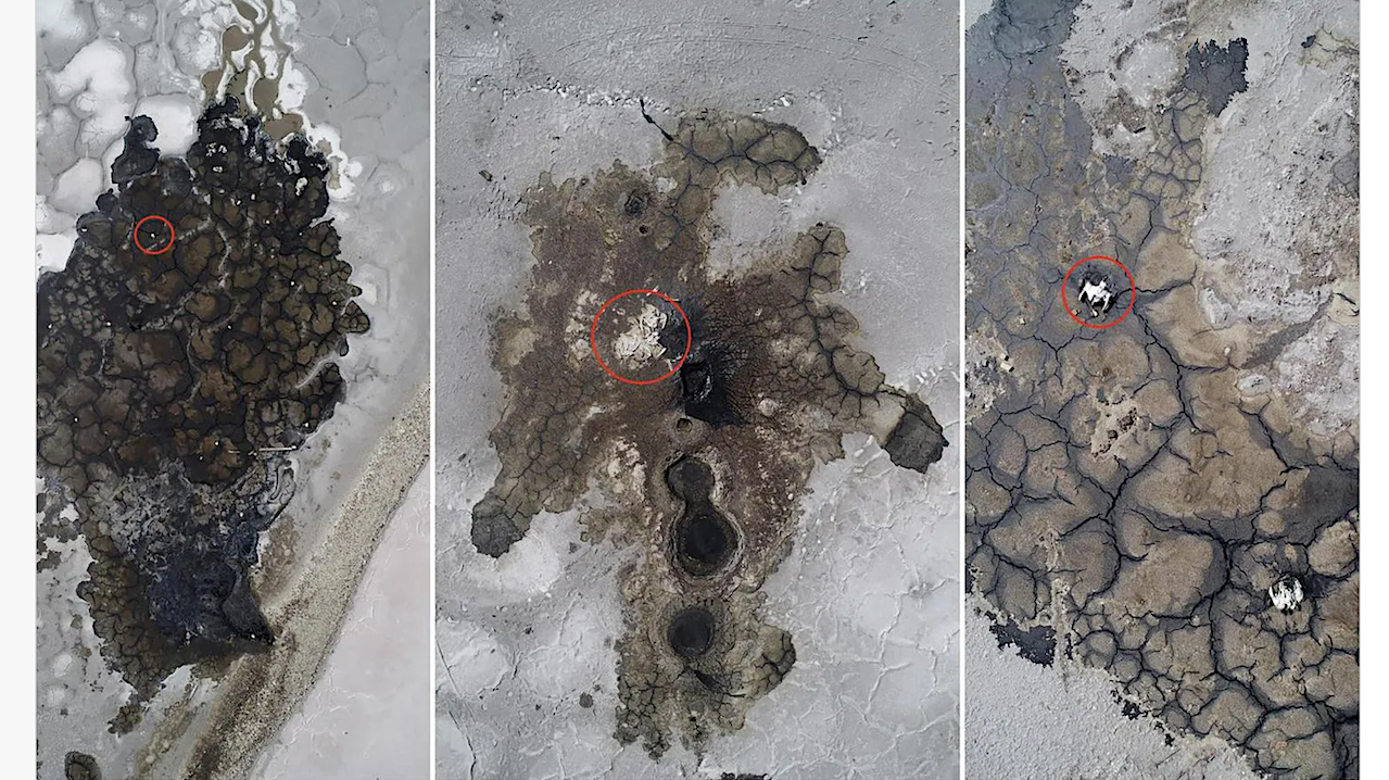 Biosignature Reservoirs In The Rozel Point Tar Seeps At Great Salt Lake, Utah