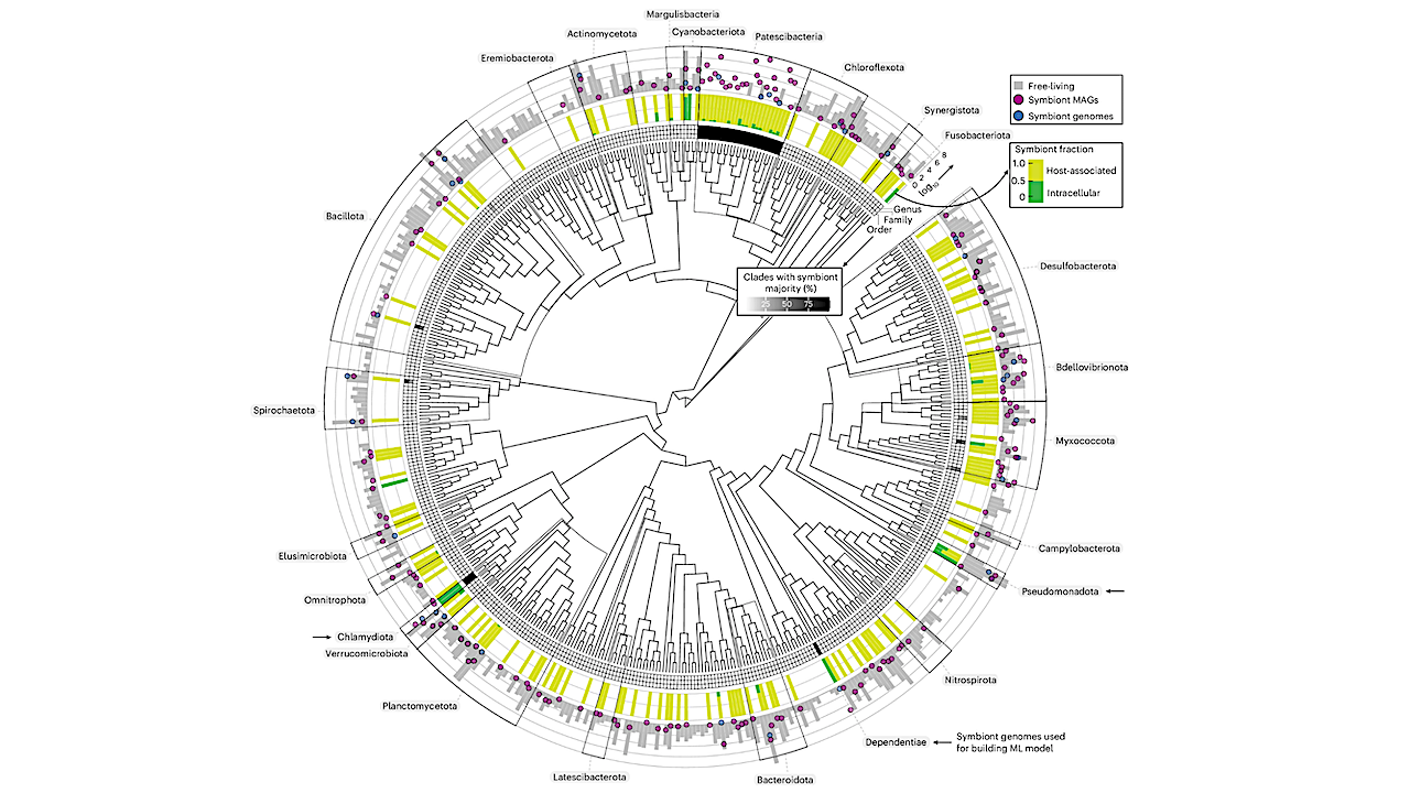 A Genomic Catalog Of Earth's Bacterial And Archaeal Symbionts