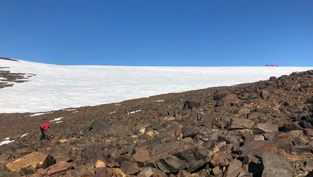 Antarctica Is Home To Microbes Found Nowhere Else On Earth
