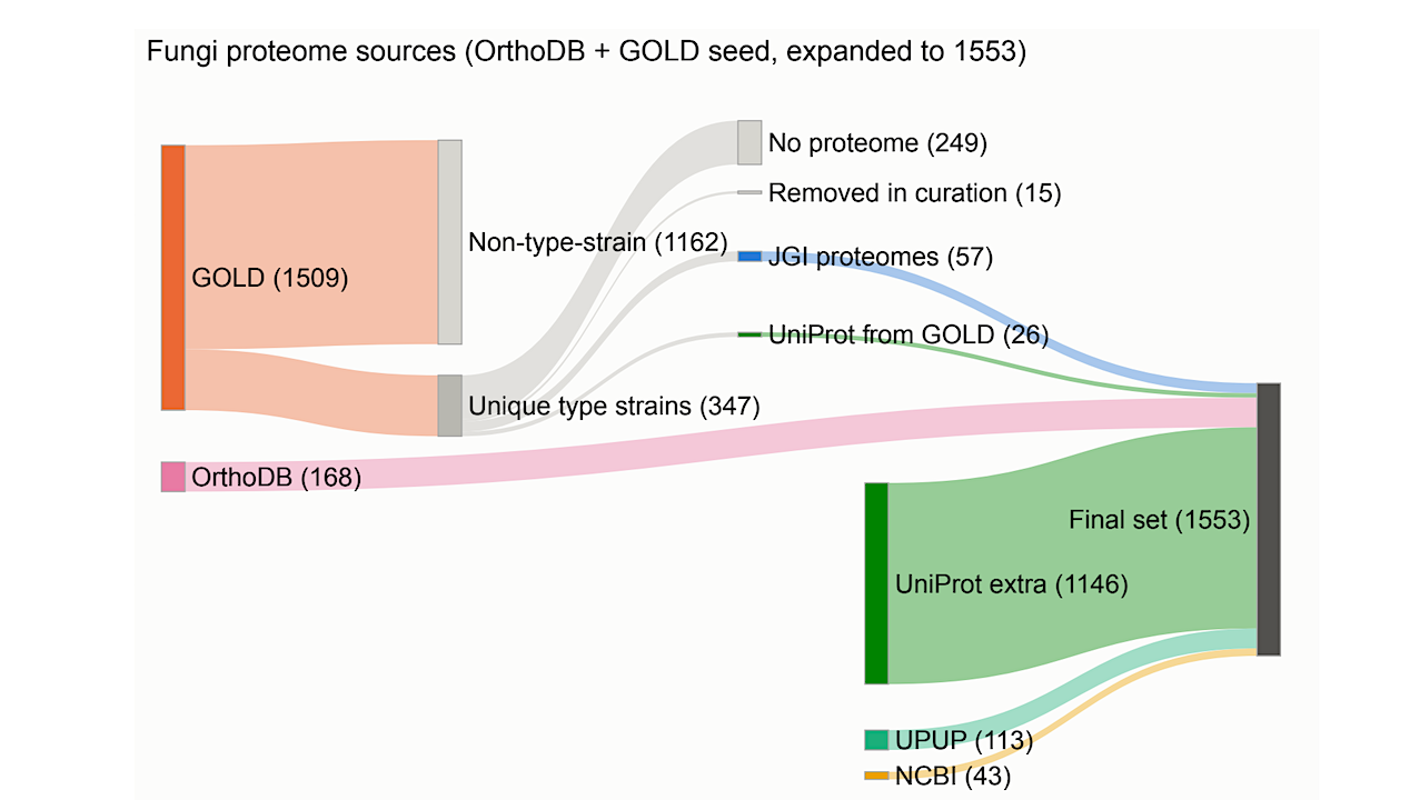 Predicting Fungal Contaminants for Space Missions Using Proteome-Wide Screening for Protein Orthologs