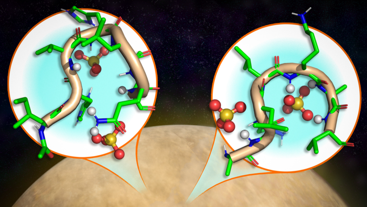 Study: Peptides Can Form Well-defined Structures In Harsh, Venus-like Conditions