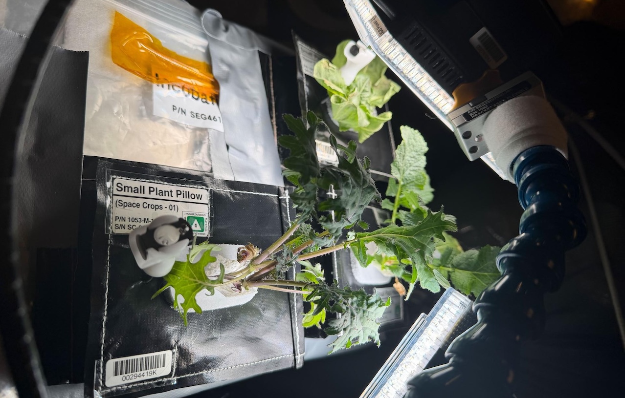 Offworld Agriculture