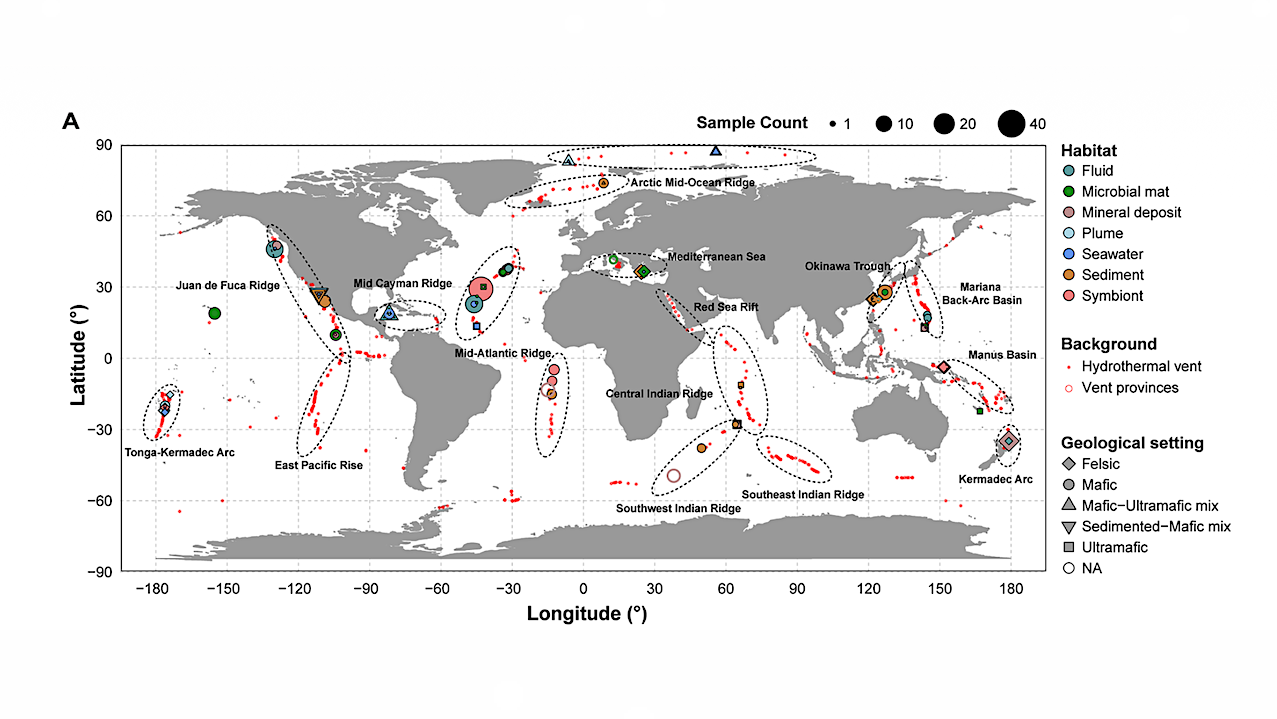 Mapping Viral Drivers of Life in Earth's Deep-Sea Chemical Oases